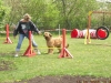 Agility - Fun - Turnier am 13.05.2006