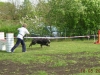 Agility - Fun - Turnier am 13.05.2006