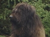 paul10