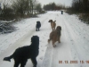 Wäller vom Mount Palis 12.2005 im Schnee